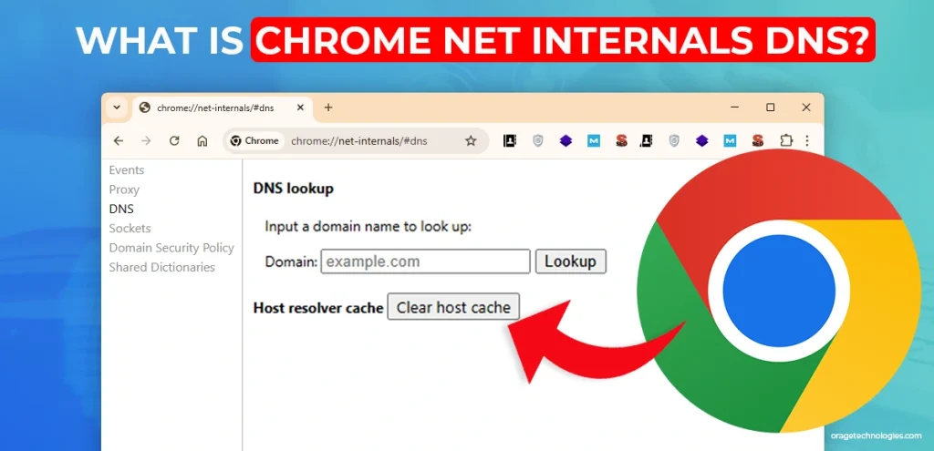 What is Chrome Net Internals DNS?