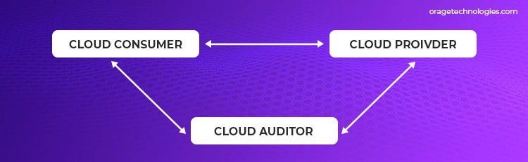 Cloud Auditor Interaction
